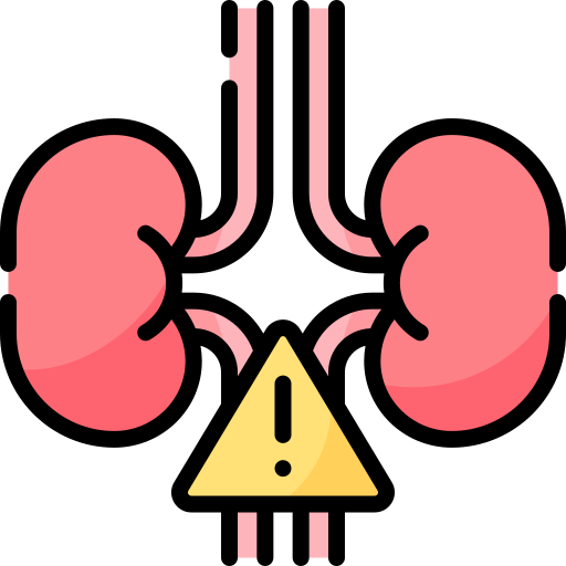 kidney